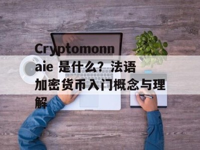 Cryptomonnaie 是什么？法语加密货币入门概念与理解