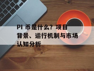 PI 币是什么？项目背景、运行机制与市场认知分析