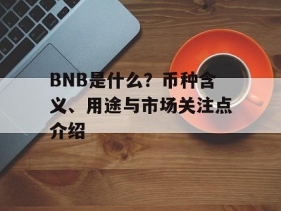 BNB是什么？币种含义、用途与市场关注点介绍
