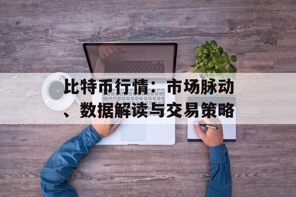 比特币行情：市场脉动、数据解读与交易策略